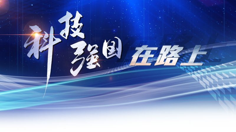 数据治理标准规范：构建企业数据安全的基石