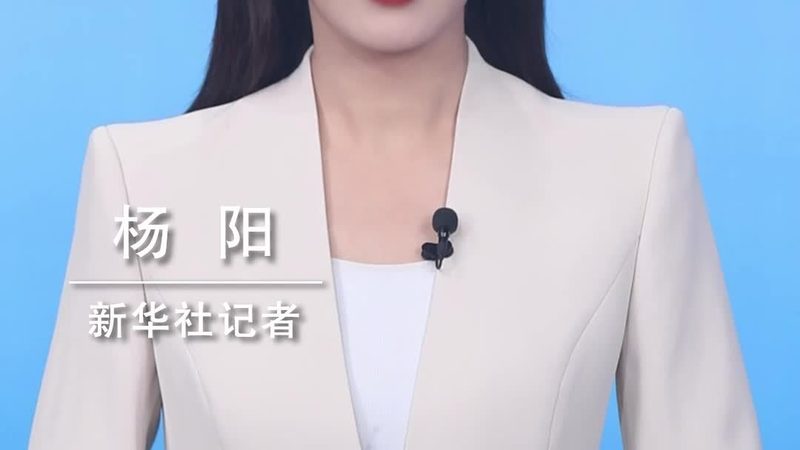 移动端数据安全：揭秘十大品牌背后的技术密码**